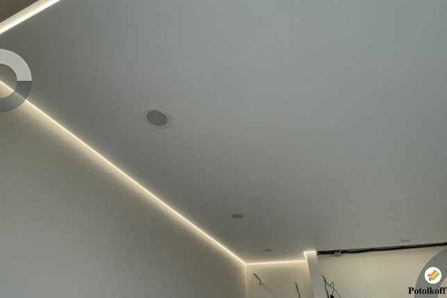 image_2023-03-03 14:01:37